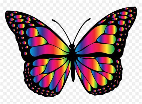 Rainbow Glowing Butterfly Png Free Download - Butterfly Clipart, Transparent Png - vhv