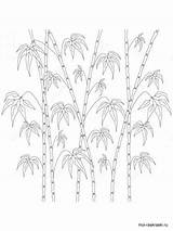 Bamboo coloring pages sketch template