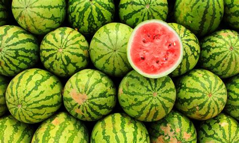 Niigata’s Yairo Watermelon Festival: The Cheapest Watermelon in Japan ...