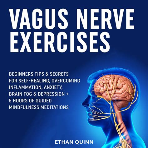 Vagus Nerve Exercises: Beginners Tips & secrets for self-healing, Overcoming Inflammation ...