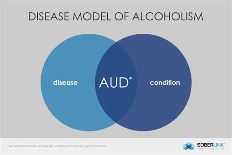 The Disease Model of Alcoholism Explained | Alcohol Recovery Blog