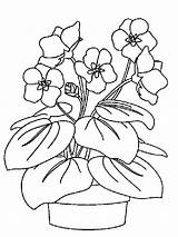 Plant Coloring Pages Easy sketch template