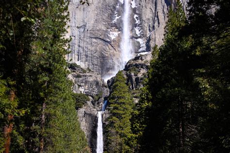 Best Winter Hiking Trails in Yosemite Valley | White Wolf Private Tours