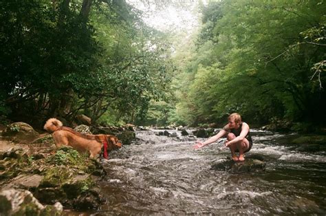 Great Smoky Mountains Camping: (Almost) Everything You Need to Know