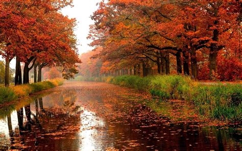 Autumn River Wallpapers - Top Free Autumn River Backgrounds - WallpaperAccess