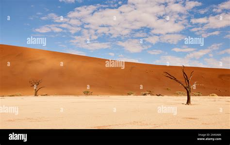 beautiful landscape in the Namib desert at Deadvlei Stock Photo - Alamy