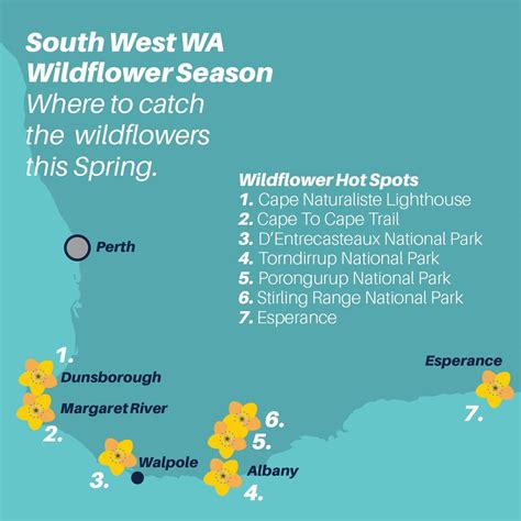 Wildflower Season WA: Find Australian Native Wildflowers 2023