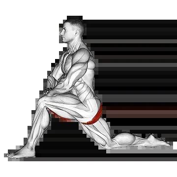 Kneeling Hip Flexor Stretch - Guide, Benefits, and Form