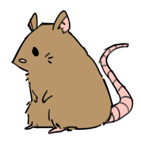 Collection of Gerbil clipart | Free download best Gerbil clipart on ...