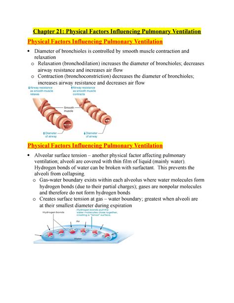 Chapter 21 12 - Chapter 21: Physical Factors Influencing Pulmonary ...