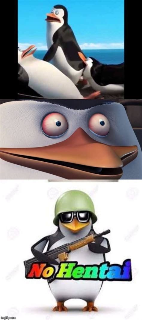 Penguins Of Madagascar Meme Rico