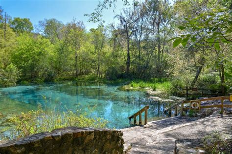 Ichetucknee Springs State Park: A User's Guide