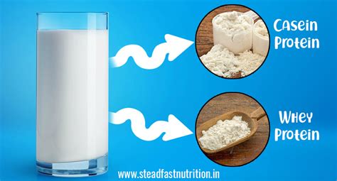 Extraction of Protein from Milk | Steadfast Nutrition