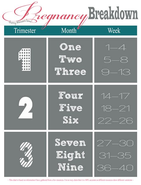 Pregnancy Trimester Chart Pregnancy weeks trimesters months chart first pregnant month baby ...