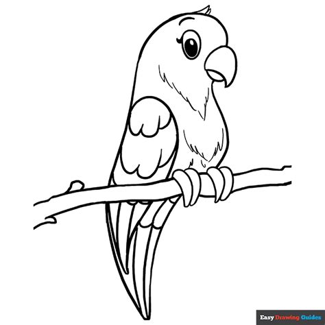 Parrot Drawing For Colouring