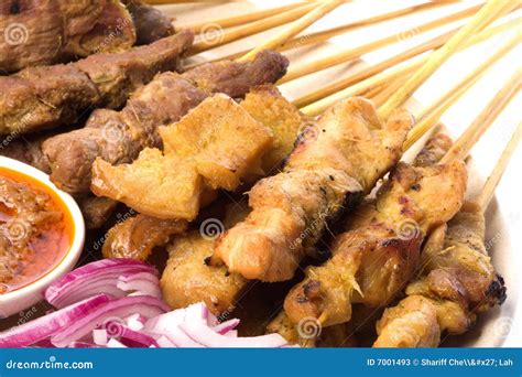 Malaysian Satay stock image. Image of culture, lunch, chicken - 7001493