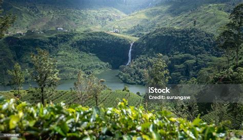 Beautiful Waterfalls In Maskeliya Sri Lanka Stock Photo - Download Image Now - Awe, Beauty, Blue ...