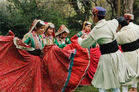 Nati refers to the traditional folk dance of Kullu, Shimla, Sirmaur, Chamba and Kinnaur ...