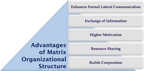 What is Matrix Organizational Structure? Definition, Roles, Features, Example, Diagram, Types ...