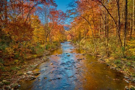 Fall Colors Along the Davidson River in Pisgah National Forest Stock ...