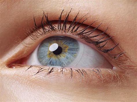 What Does the Lens of eye Do | Eye Lens Anatomy - Medical School Education