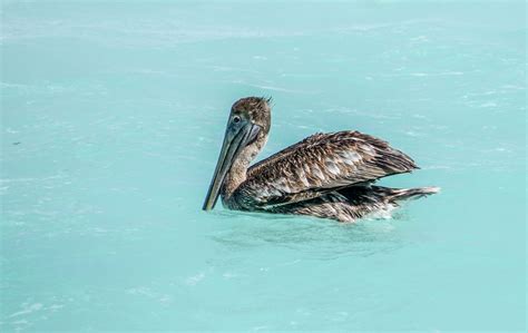 The wonders of Sian Ka’an | Cancun mexico beaches, Cancun, Cancun mexico