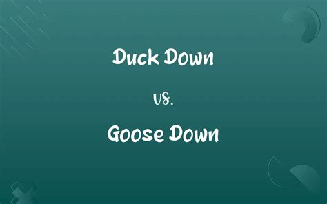 Duck Down vs. Goose Down: Know the Difference