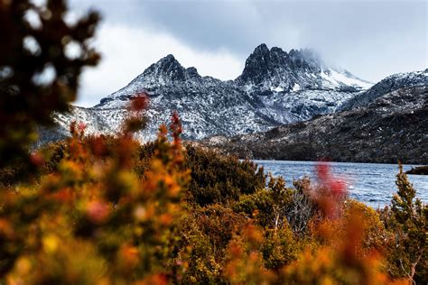 Glacier rock cradle mountain national park tasmania australia – Artofit