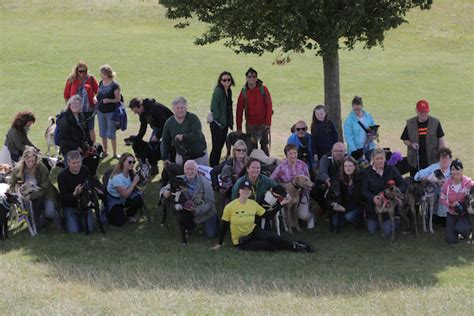 Phoenix Park - Irish Retired Greyhound Trust