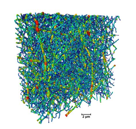 Biomaterial Microstructure and Properties: The Relevance of Biomimetics ...