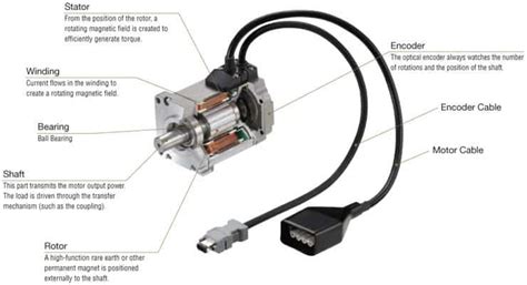 What is the Difference Between a Continuous and Standard Servo - Colbert Pariz1975