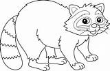 Raccoon Coloring Vector Art Icons And Graphics For Free Download sketch template