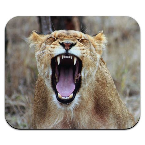 Lioness Roaring - Female Lion Roar Mouse Pad - Walmart.com - Walmart.com