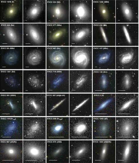 Examples of galaxies with various primary morphologies. For each ...