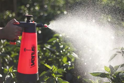 Top 10 Best Garden Sprayers Reviewed in 2021 - Happy Body Formula