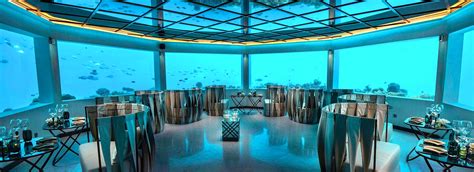 Underwater Restaurant Maldives experiences for a lifetime holiday