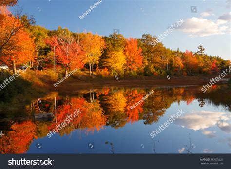 10,140 Maine Fall Colors Images, Stock Photos & Vectors | Shutterstock