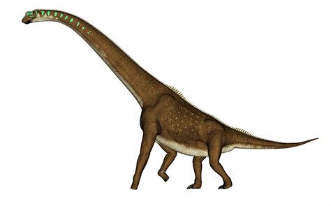 Giraffatitan Dinosaur - 3d Render Photograph by Elena Duvernay - Fine ...