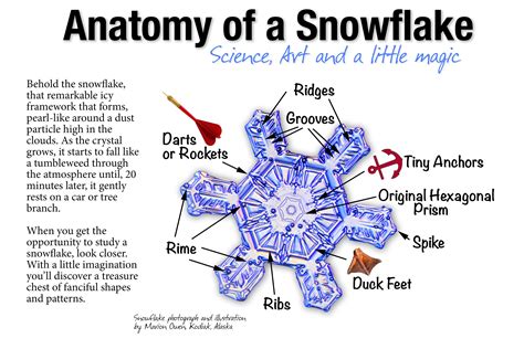 Anatomy of a Snowflake: Science, art and a little magic | Snowflakes science, Snowflake images ...