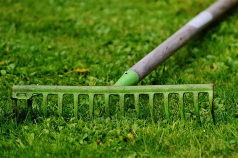 How to Use a Landscape Rake – Full Guide on Most Popular Rake Types