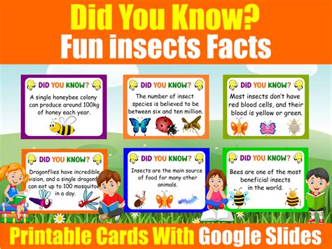 Did You Know ? Fun insects facts for KS1 & KS2 with Google slides and ...