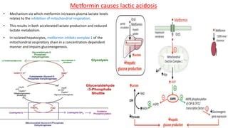 Lactic acidosis | PPT