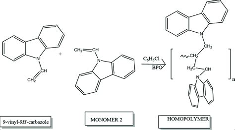 Synthesis of the homopolymer | Download Scientific Diagram