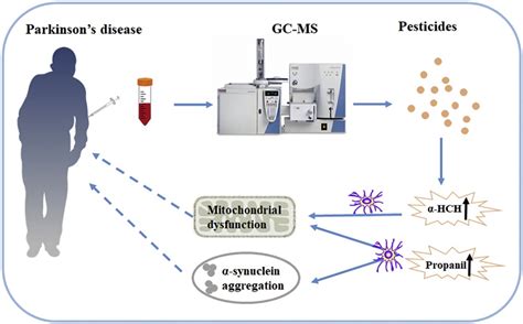 Pesticides and Parkinson’s Disease: The Toxic Effects of Pesticides on the Brain - Beyond ...