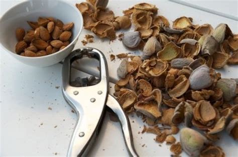 Shelling Nuts | ThriftyFun