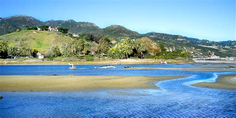 The Malibu Lagoon: 3 Years after Restoration - Malibu Garden Club