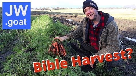 Bible Harvest Tips - YouTube