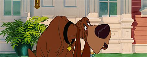 Trusty - Disney's Lady and the Tramp Photo (40967531) - Fanpop