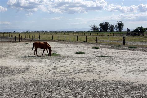 A Sobering Look at the California Drought - ABC News