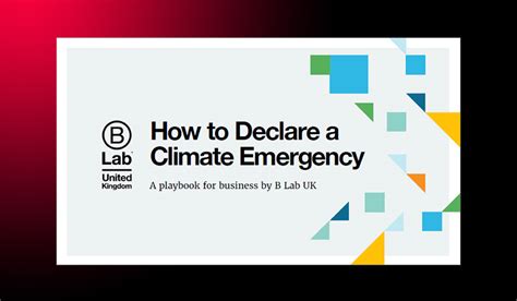 Business guide: 'How to Declare a Climate Emergency' - Climate ...